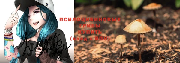 шишки Аркадак