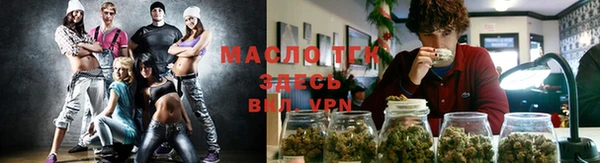 гашик Арсеньев