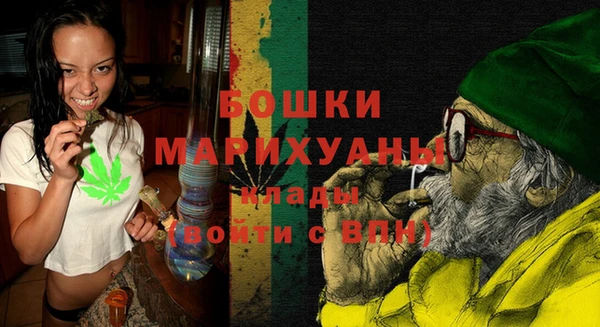 шишки Аркадак