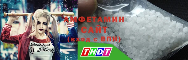 шишки Аркадак