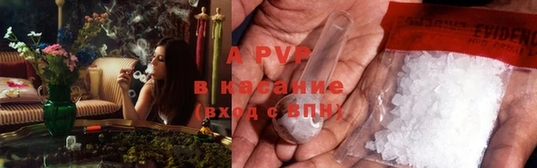 гашик Арсеньев
