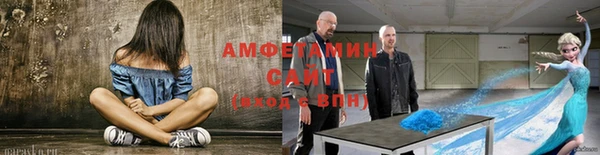 шишки Аркадак