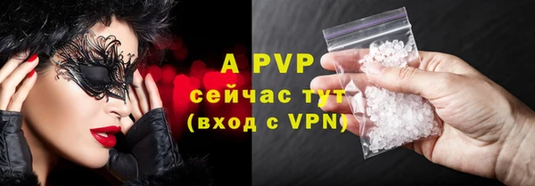 гашик Арсеньев