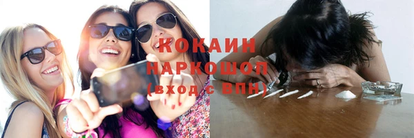гашик Арсеньев