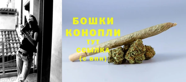 шишки Аркадак