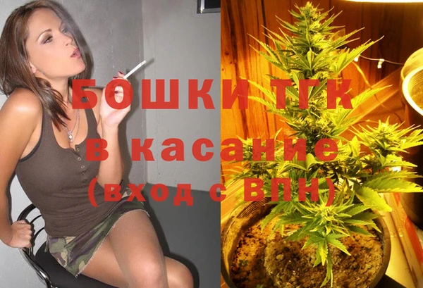 шишки Аркадак