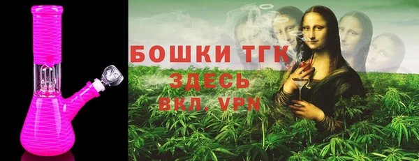 гашик Арсеньев