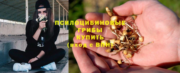 гашик Арсеньев