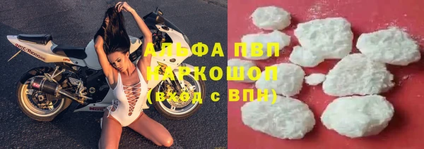 Альфа ПВП Каменка