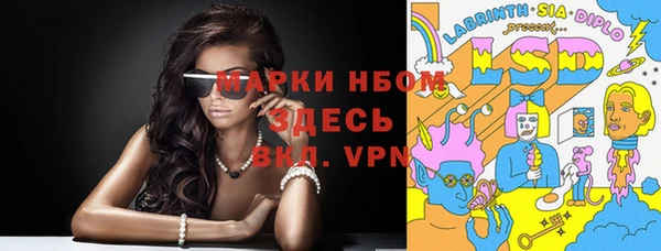 шишки Аркадак