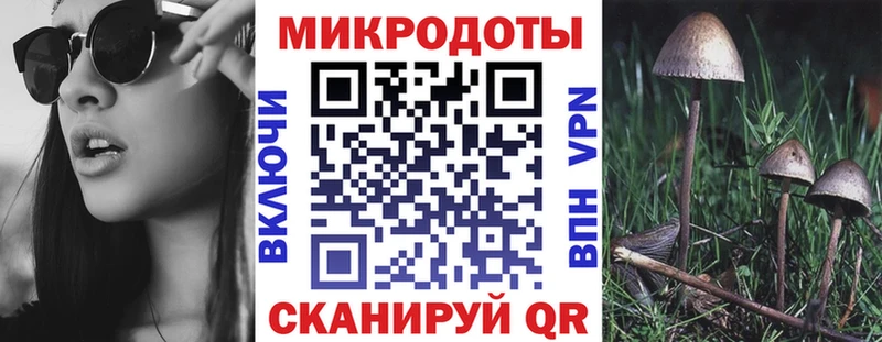 ОМГ ОМГ онион  Белинский  Галлюциногенные грибы Psilocybe 